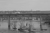 Skorri > Hollywood Cemetery Jan '08 photo