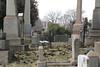 Skorri > Hollywood Cemetery Jan '08 photo